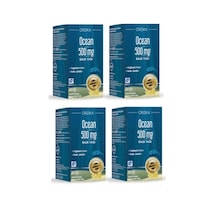 Balık Yağı 500 Mg 60 Kapsül 4 Adet 101746-4-1