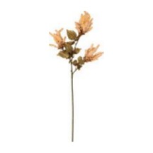 Yapay Çiçekli Bitki Pampas Kahverengi 90 Cm. Çok Renkli