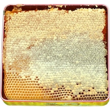 Hizan Petek Balı 1250 G