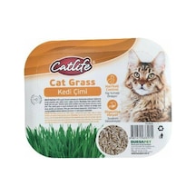 Catlife Cat Grass Kedi Çimi