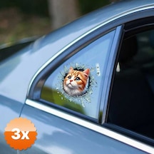 3 Adet Fulcar Sarman Araç Stickerı 10x10 Cm