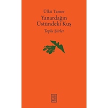 Yanardağın Üstündeki Kuş - Dppq-762688