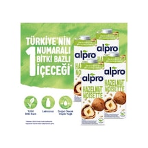 Fındık Sütü 4x1 L Vegan Laktozsuz Besin