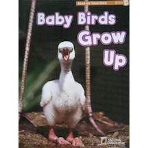 Read On Your Own Books Baby Birds Grow Up National Geographic