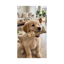 Kedi Köpek Hışırtılı Sesli Oyuncak Kadife Evcil Hayvan Oyun Oyuncağı Bej