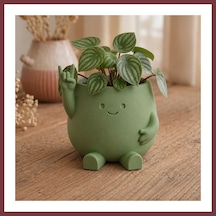 Storeşahin 3d Baskı Smiley Face Planter - Gülümseyen Karakterli Saksı-yeşil Shn0720