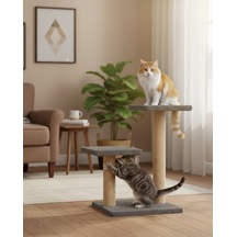 Reyo Pet Çift Stepli Kedi Tırmalama Antrasit