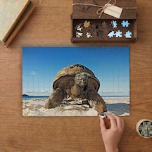Görkemli Kapluöbağa Tasarımı 240 Parça Ahşap Puzzle Ahşap Kutuda Mpy60430