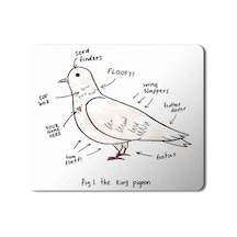 Güvercin Anatomi Baskılı Mousepad Mouse Pad