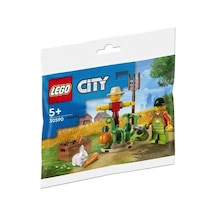 LEGO® City 30590 Farm Garden & Scarecrow Polybag 34 Parça