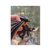 Ejderhanı Nasıl Eğitirsin Ghost Pincer Dragon Hayalet Pençe Ejderhası Hareketli Figür