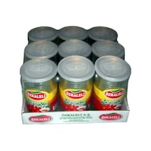Özkaleli Şekersiz Kuşburnu Pulpu 9 x 1250 G
