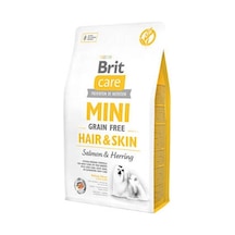 Mini Hair Skin Somonlu Ve Ringa Balıklı Küçük Irk Tahılsız Yetişkin Köpek Maması 2 Kg