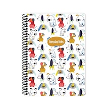 Keskin Color Defter Karton Kapak Spiralli 384341-99 16,x22,5 80 Yp Çiz. Çok Renkli