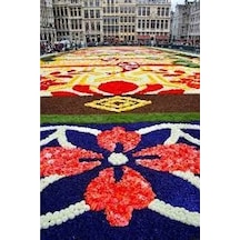 100 Adet Tohum Çok Nadir Bulunan Japon Halısı Çiçeği Tohumu Saksı