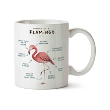 Flamingo Anatomisi Flamingo Anatomy Porselen Kupa Bardak Beyaz
