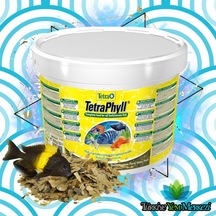 Tetra Phyll Bitkisel Pul Balık Yemi 100 Gram -Açık-