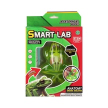 Kurbağa Laboratuvar Seti - 801b