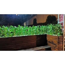 Rüzgar Yapay Çiçekçilik 50 Cm 20 Adet Bambu Yeşil