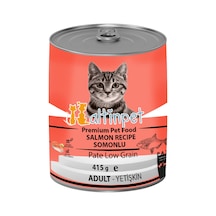 Altınpet Somonlu Yetişkin Kedi Maması 24 x 415 G