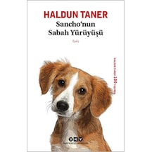 Sanchonun Sabah Yürüyüşü - Qhdh-874308