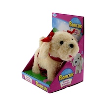 Dansçı Köpeğim Boncuk