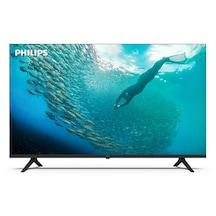 50"