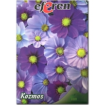 Kozmos Tohumu 6 Paket