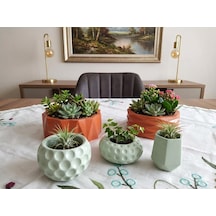TERRA MINT Set | 5 Parça Kiremit Mint Yeşili Dekoratif Obje Takımı | Mumluk Lokumluk Sukulent Saksısı | El Yapımı Masa Sunum Seti