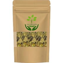 Gimneya Gymnema Sylvestre Cinnema Gurmar 100gr 25003308