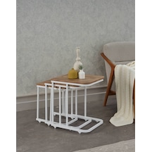 Atlantik Çam - Beyaz