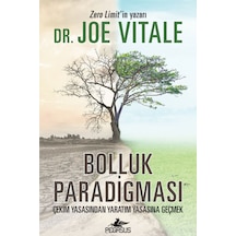 Bolluk Paradigması: Çekim Yasasından Yaratım Yasasına Geçmek