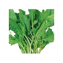Tere Tohumu 10 GR Paket