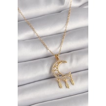 Mey İthalat 316l Çelik Gold Renk Zincir Zirkon Taşlı Hilal Model Sallantı Yaprak Detay Kadın Kolye - Özel Seri Meyeb676aad15b3a47c69640b78f9 altın