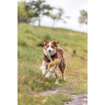 Gerçek Deri - Güderi Bukalemun Halatlı Köpek Çekiştirme Oyuncağı 45cm