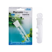 İsta Planaria  Tuzağı