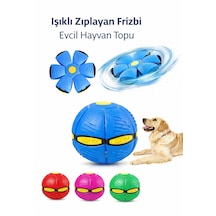 Işıklı Köpek Topu Zıplayan Açılır Frizbi Oyuncak Köpek Oyuncağı