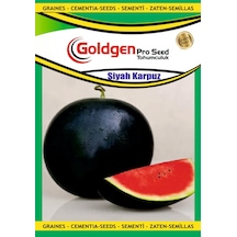 1 Paket