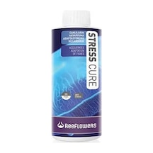 Reeflowerss Cure Akvaryum Balıkları içins  85