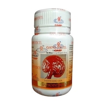 Ganoexcel Ganoderma 90 Kapsül