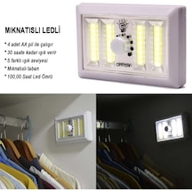 Dli Işık Seviyesi Ayarlanabilir Ledli Lamba Wt-383 Çok Renkli