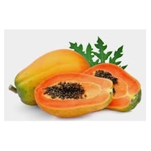 10 Adet Tohum Ithal Nadir Tropikal Bodur Papaya Ağacı Tohumu Papaya Meyvesi Süpriz Hediye