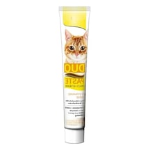 12 Vitaminli Kedi Macunu, Peynir Aromalı, 50 G