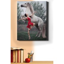 Webstyle Sayılarla Boyama Seti Kasnaklı Balerin Ve Beyaz At 60 X 75 Cm