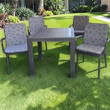 Lüks Arkalıklı Sandalye Minderi 6lı 4cm Süngerli Örümcek Desen 42x42 Gri