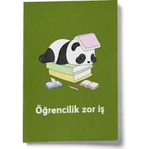 Çok Renkli