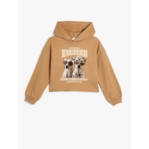 Koton Kapşonlu Sweatshirt Köpek Baskılı Uzun Kollu Pamuklu Kahverengi 5wkg10557ak Kahverengi