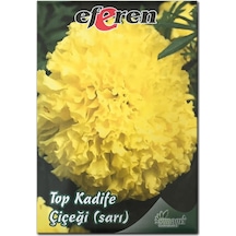 Top Kadife Sarı Tohumu