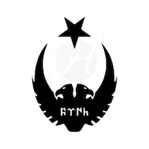 Ay Yıldız Kartal Göktürkçe Türk Oto Sticker 25 X 32 Cm137