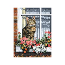Camdaki Kedi Çerçeveli 40x50 Sayılarla Boyama Hobi Seti
